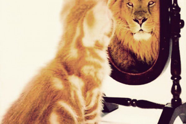 ��� �������� ���������� ��� ������ ������ ����