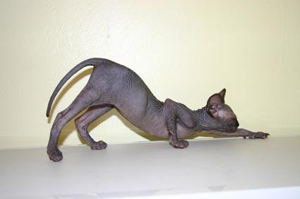 �������. �������� ������� �� �����