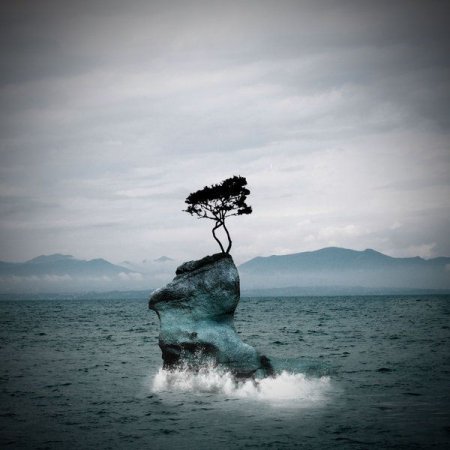 ��� �������� ������ - ������ ��������