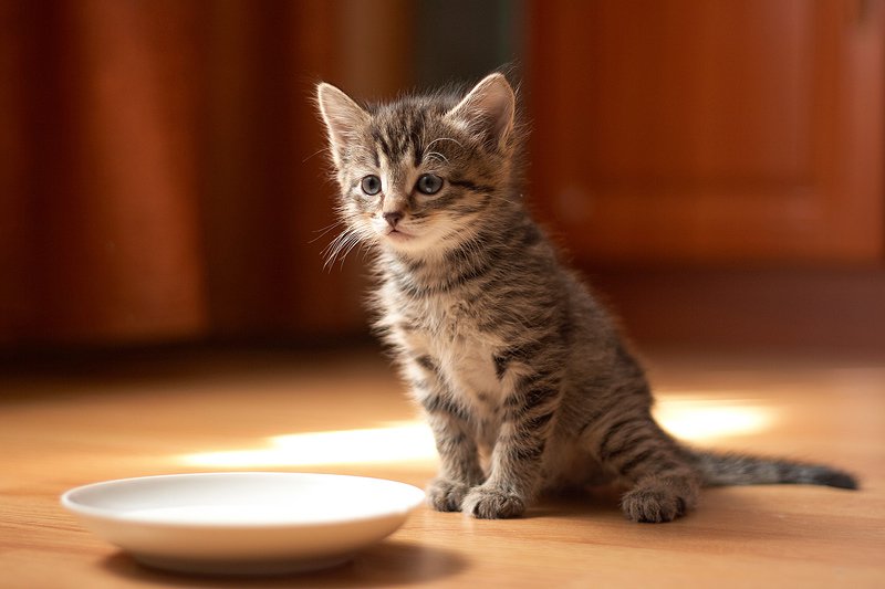 ��� ��������� ��������� �������?