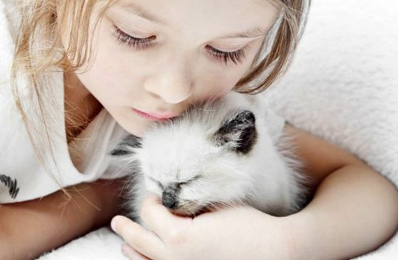 ��� ��������� ��������� �������?