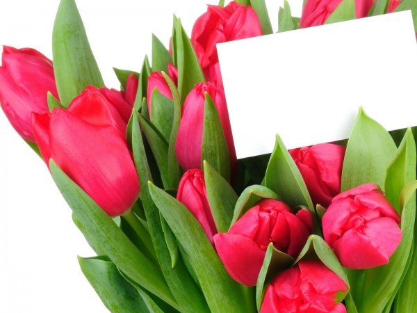 ��� ����� ������ �������� ������