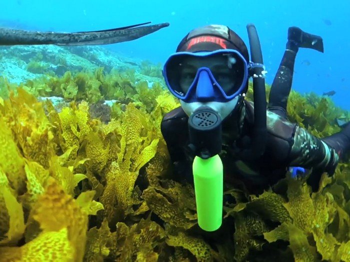 ����� ���������� ���� ����������