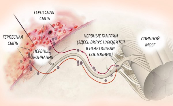 ������������ �����: ��� ������ ������� � �������� ������� �����������?