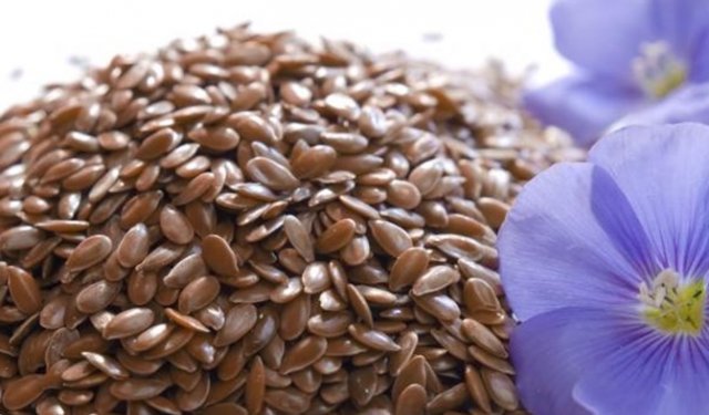 ���� ������������ ����� ����� ����?