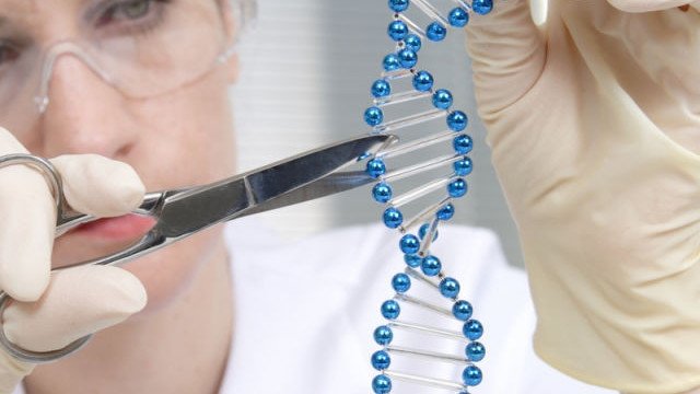 ������ ����� ���������� � ����������� �������������� ��� �����