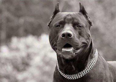 ������ ��������, ��� ������ ������ ���, ��� �� ������