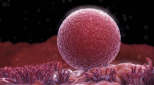 ������ ������� ������������� ����������