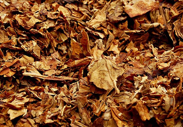 ������������� �������� ������