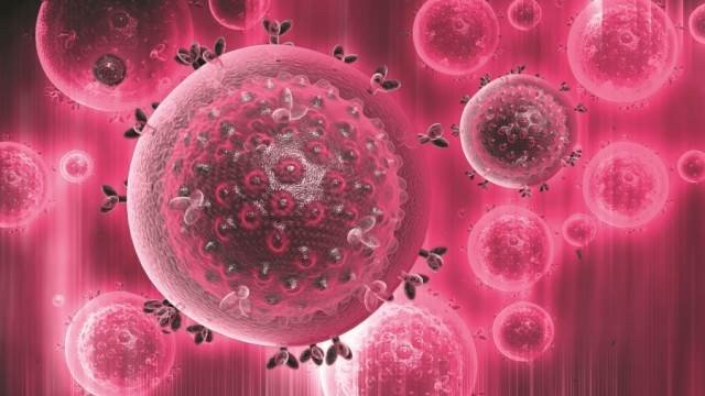 � ��� ������ ������� ������������� ������� �� ���