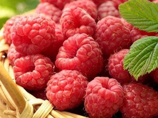 ����������� ����� �� �������� ��� ���� ������� �����