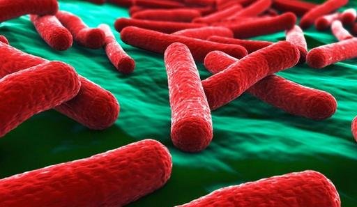 ������ ���������� � ����� ������� ����� �� �����