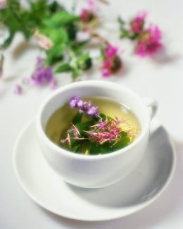 ���������������� ����� �� ������ ��� ����������� ������ ���������