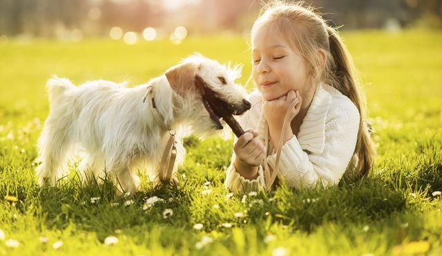 ������ ������� ������� ��� ������ �������