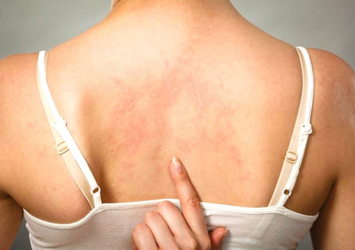 ����������: ����������� � �������