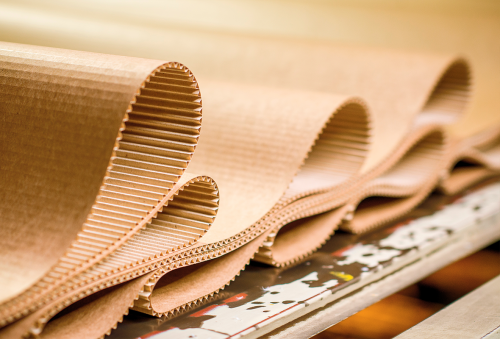 ��� ����� �����������