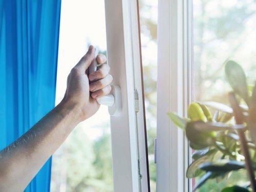 ������������ ����������� ����